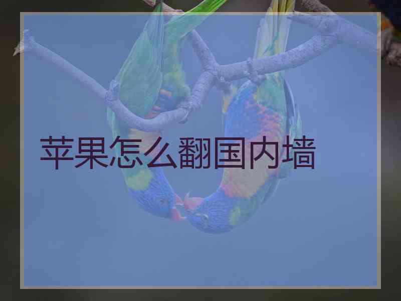 苹果怎么翻国内墙