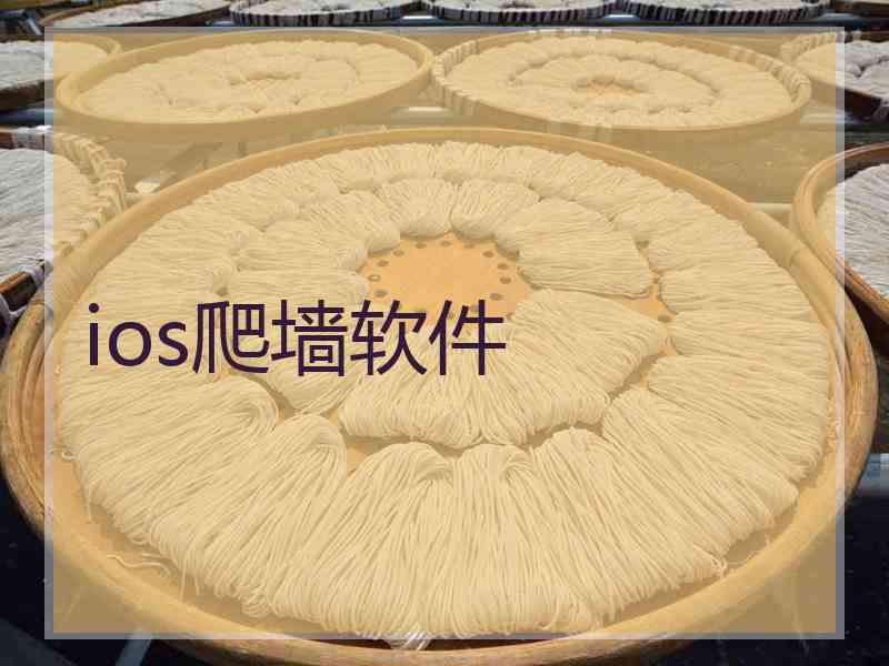 ios爬墙软件