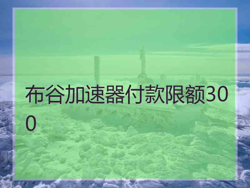 布谷加速器付款限额300