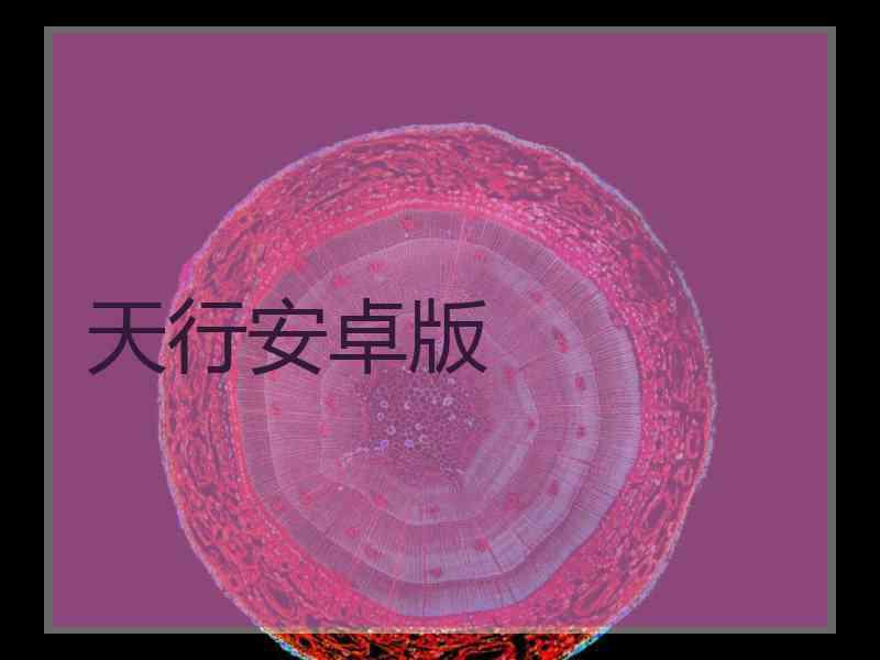 天行安卓版