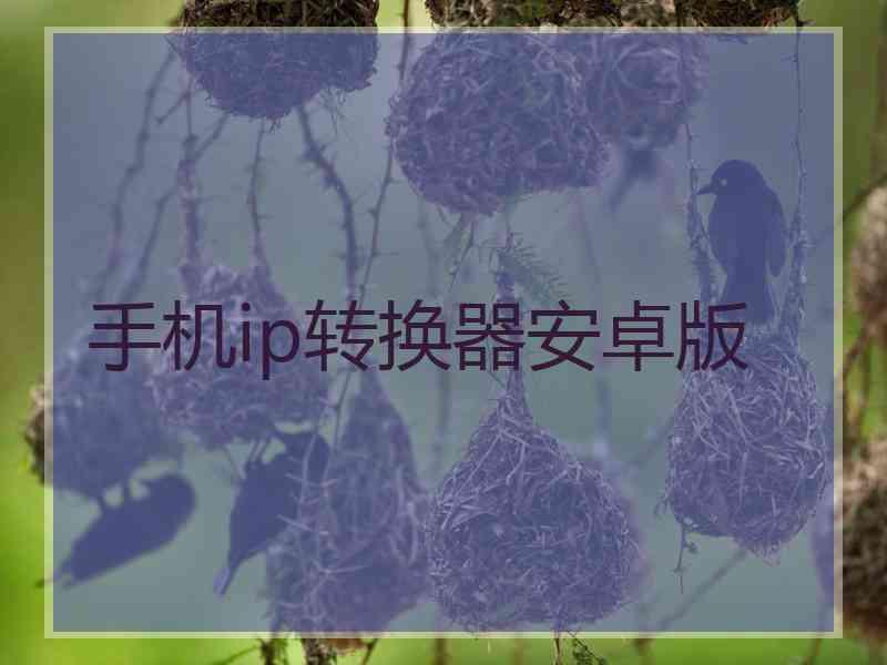 手机ip转换器安卓版