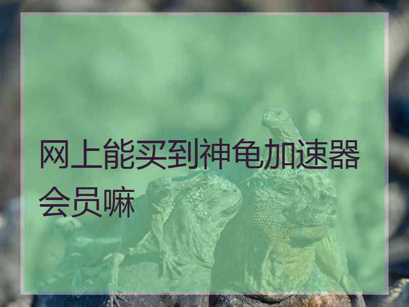 网上能买到神龟加速器会员嘛