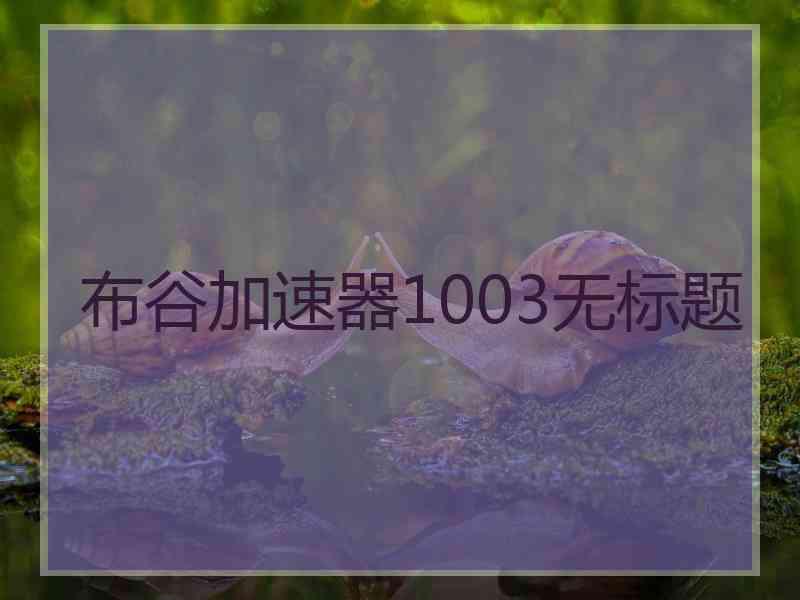 布谷加速器1003无标题