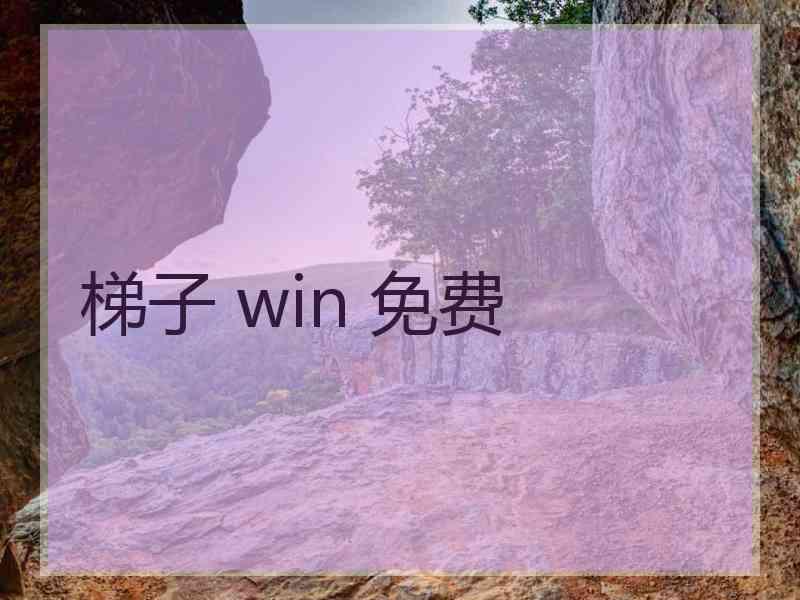 梯子 win 免费