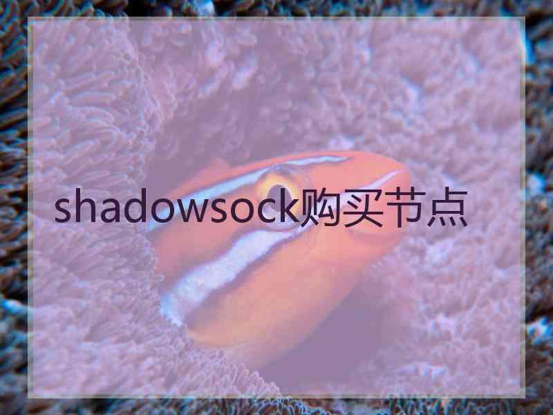 shadowsock购买节点