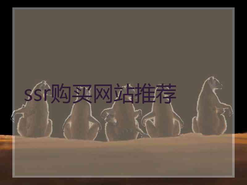 ssr购买网站推荐