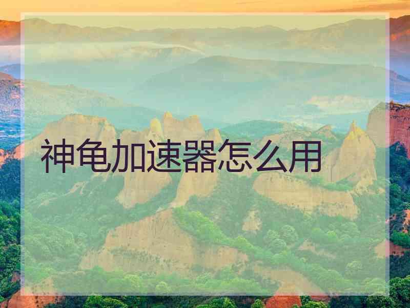 神龟加速器怎么用